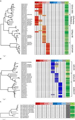 Establishing a molecular toolbox of lineage-specific real-time RT-PCR assays for the characterization of foot-and-mouth disease viruses circulating in Asia